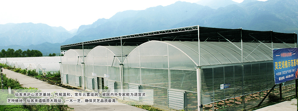 中國靈芝十大品牌|仙客來靈芝|仙客來靈芝破壁孢子粉|仙客來孢子油|仙客來靈芝飲片|仙客來破壁孢子粉|仙客來靈芝中藥飲片|馳名商標(biāo)|m.clgj56.com.cn|